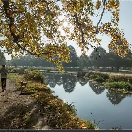 Turing Lodge, Near Hampton Court Buitenkant foto
